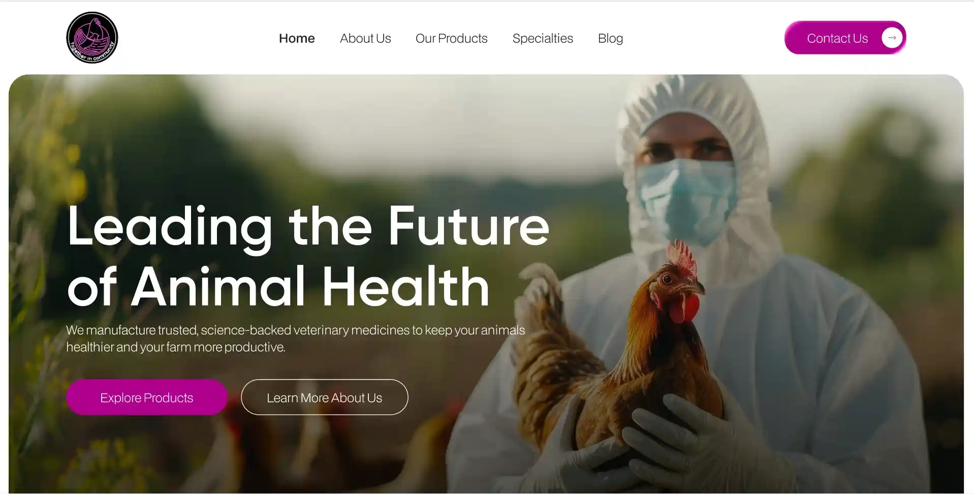 Creative Web Project